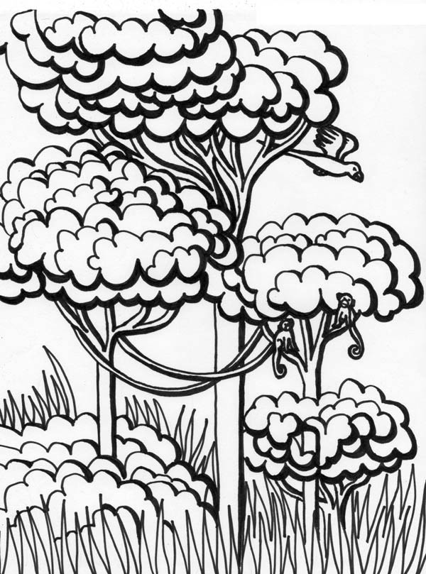 600x809 Kid Drawing A Forest Coloring Page Coloring Sky