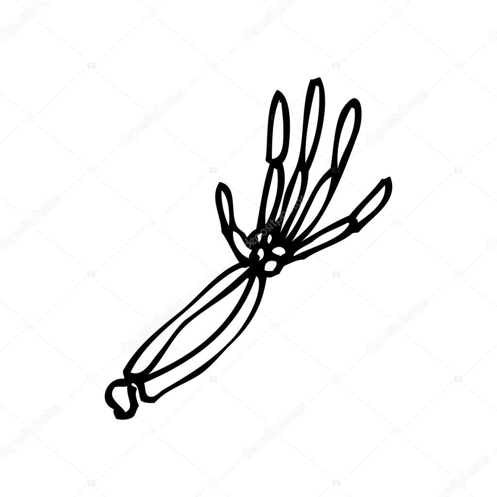 1024x1024 Cartoon Spooky Skeleton Hand Stock Vector Lineartestpilot