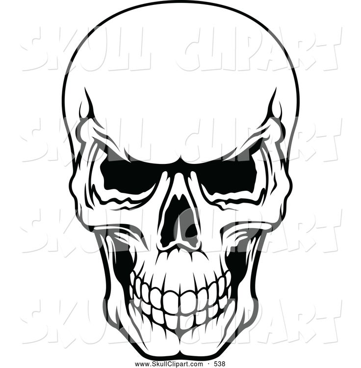 736x750 49 Best Skulls Images On Skull Art, Skulls