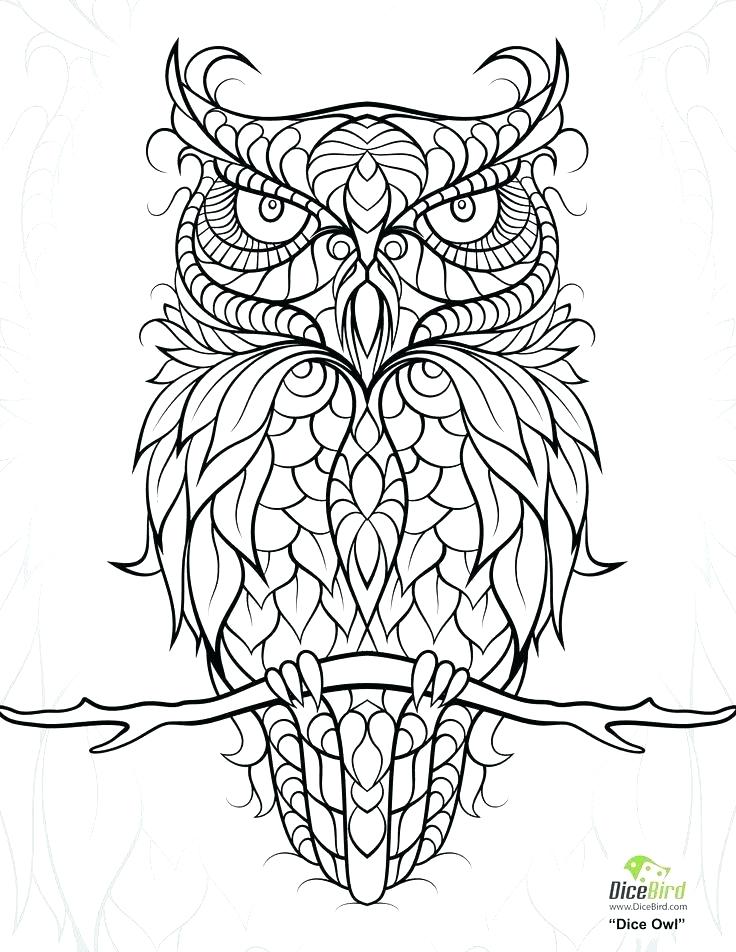 736x952 Free Printable Coloring Pages Of Owls Scary Owl Coloring Pages