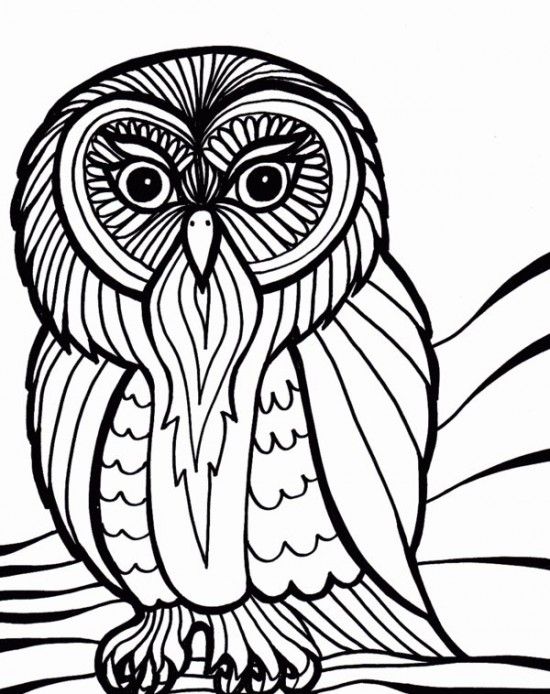 550x694 126 Best Icolor Owls Images On Coloring Books