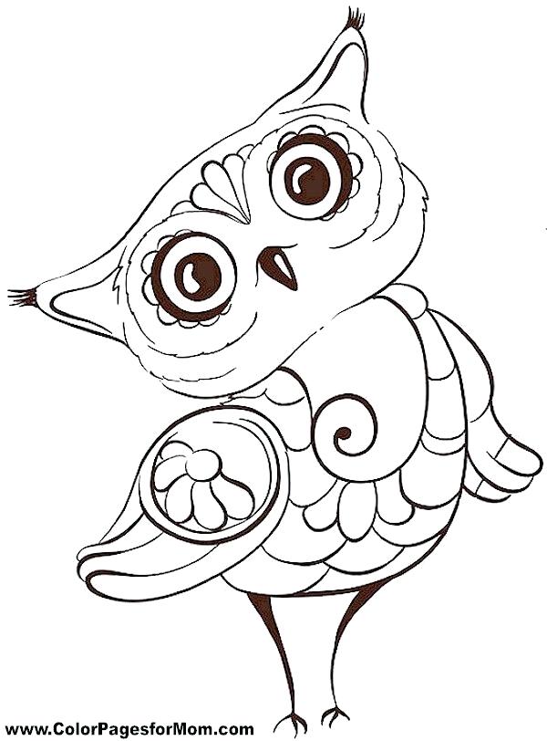 600x812 Baby Owl Coloring Page Owl Coloring Pages For Kids Cute Baby Owl