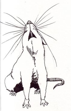 236x366 Pin By Jahnvi Jethi On Drawing Rats