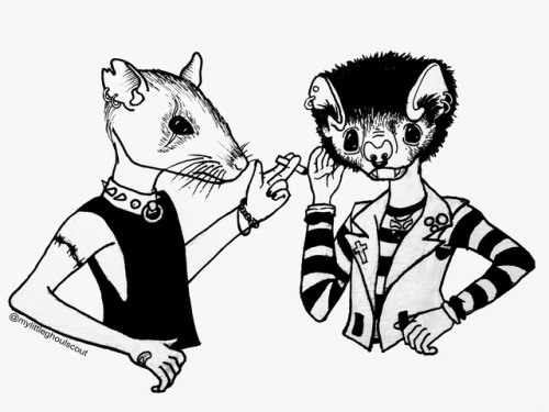 500x375 Of Rats And Dudes Tumblr
