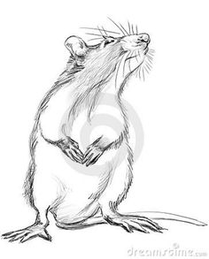 236x293 Rat Drawings In Pencil Of Rat Fantasies And Scenes From Rat Life