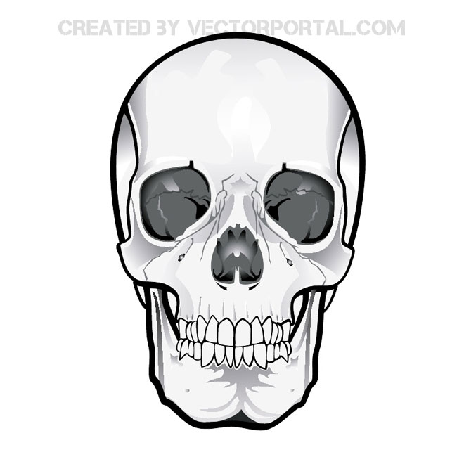 660x660 Free Vector Gallery Scary Skulls Vector Freebies, Illustrator