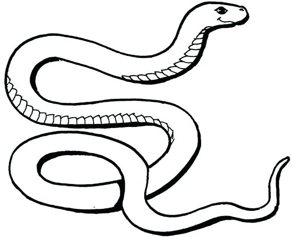 567x463 Coloring Pages Of Snakes 15 And Pin Serpent Coloring 6 Coloring