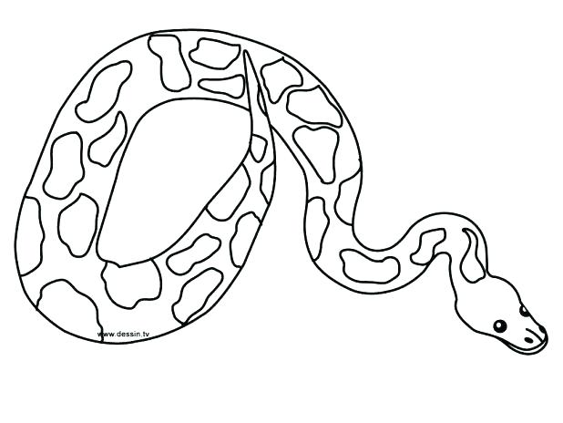 618x464 Coloring Pages Snakes Snake Coloring Pages Snakes Coloring Pages
