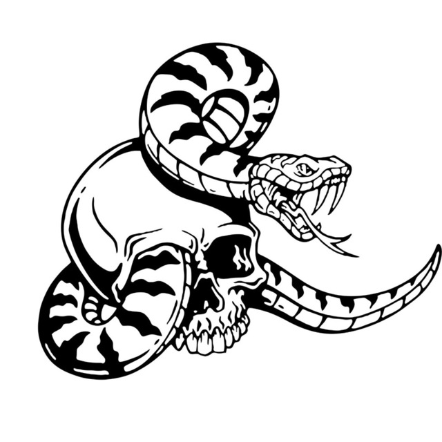 640x640 16cm13.4cm Scary Skull Skeleton Head Snake Car Styling Vinyl