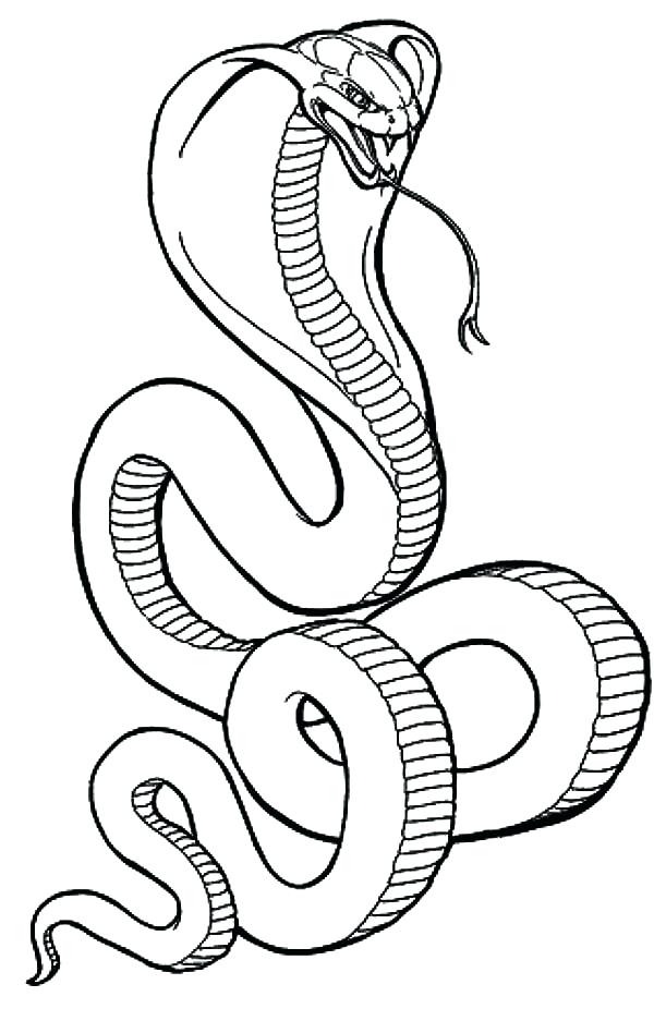 600x937 Indian Cobra Coloring Pages Snake Coloring Pages