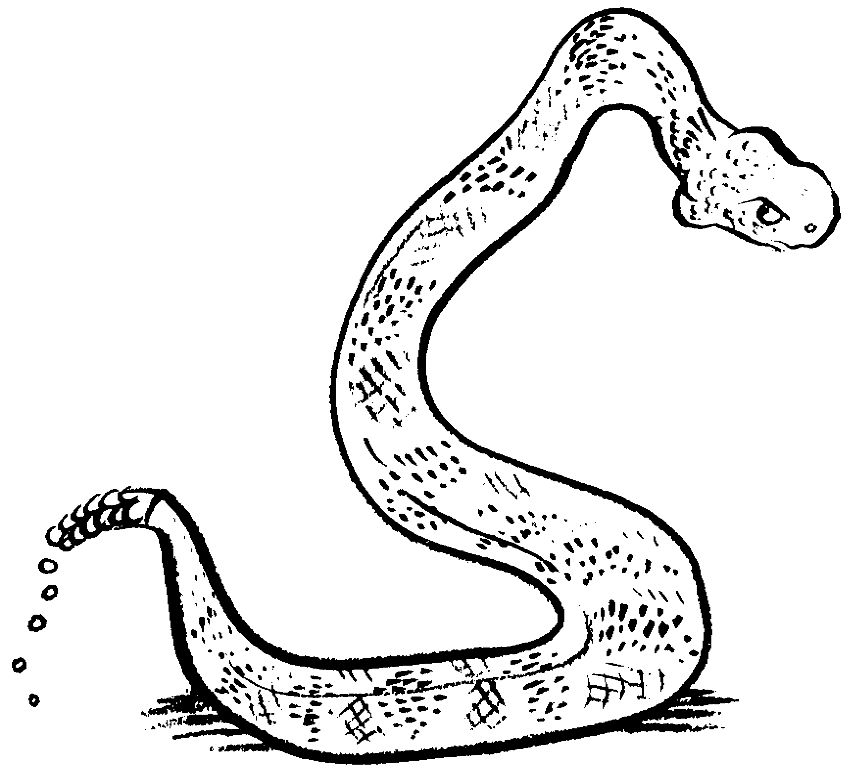 1739x1575 Snake Black And White Snake Black And White Clipart 2 Snakes
