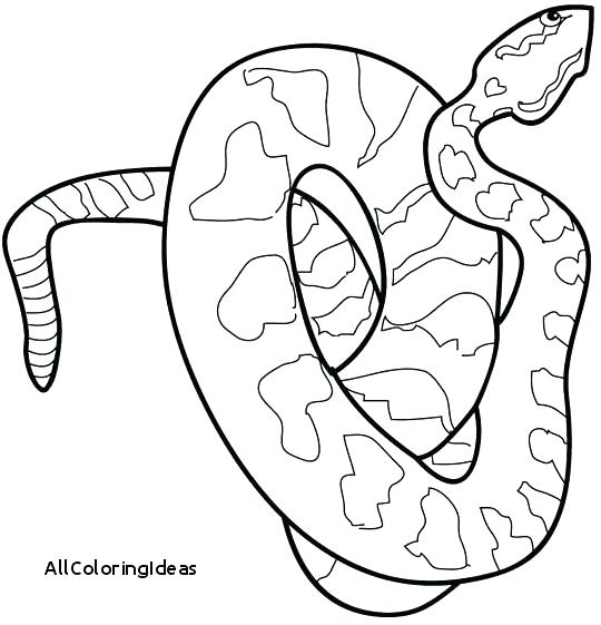 540x561 Coloring Page Snake Snake Coloring Page Free Printable Coloring