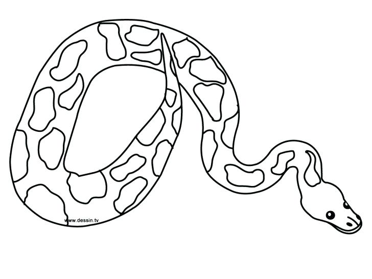 728x546 Coloring Page Snake Snakes Coloring Pages Printable Snake For Kids