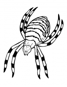 232x300 Insects Coloring Pages For Kids To Print Amp Color