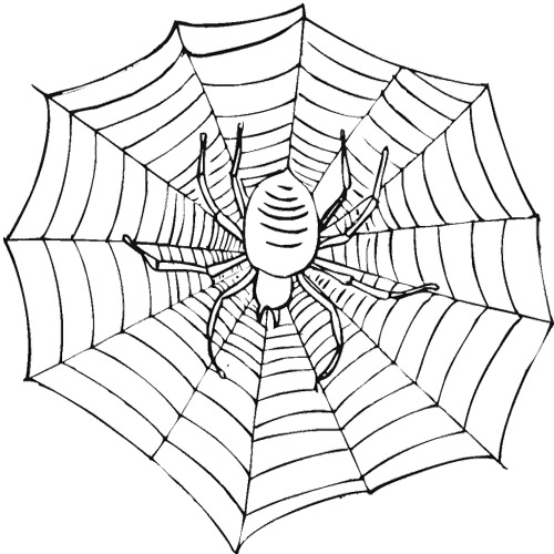 Scary Spider Drawing at GetDrawings | Free download