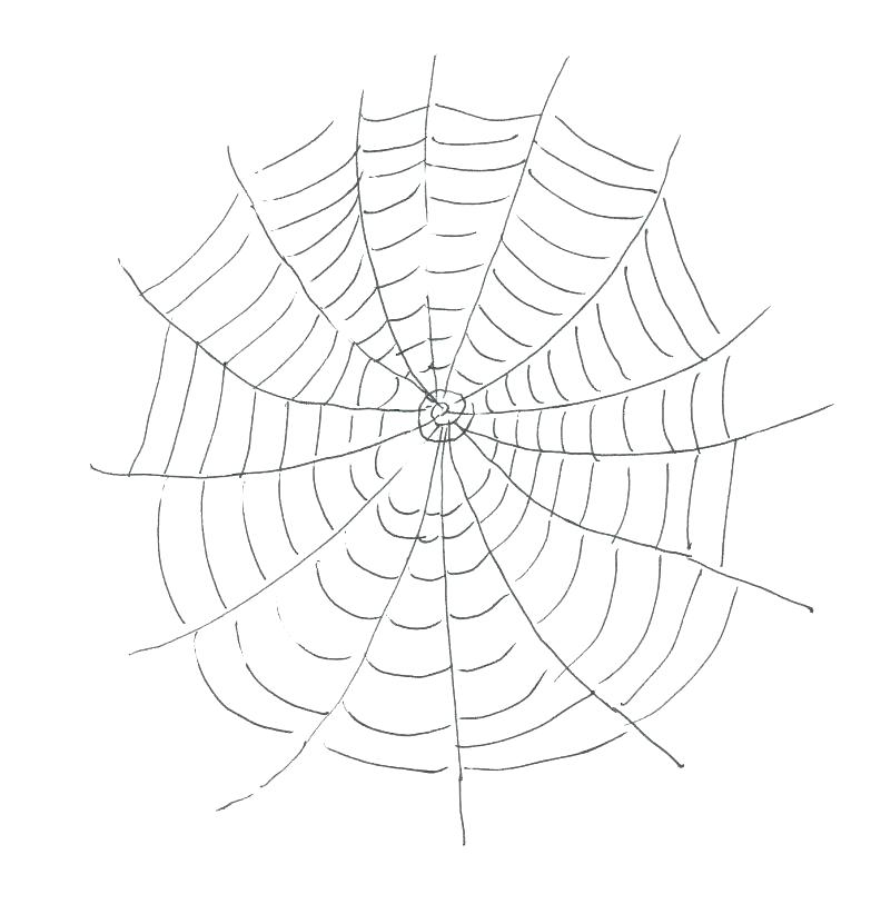 792x822 Scary Spider With Web Coloring Page Color Halloween Pages Murs