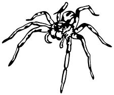 225x186 Tarantula Spider Rare Vinyl Decal Sticker Ebay