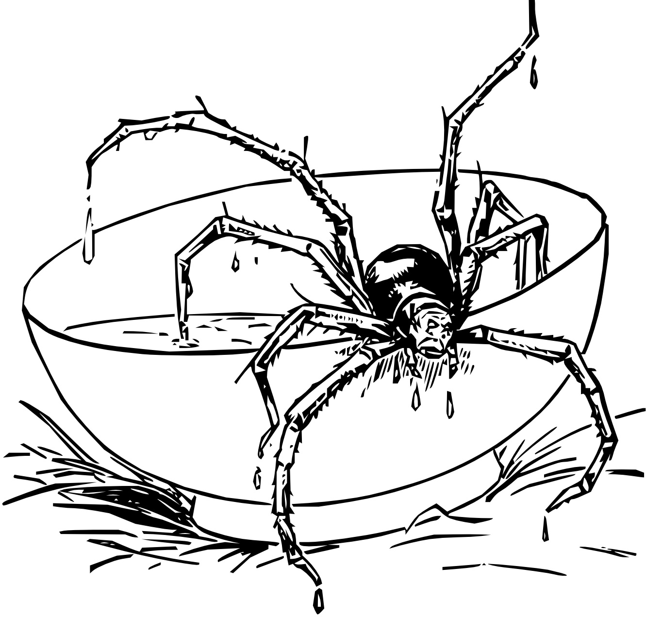 1331x1271 Coloring Pages Spiders Coloring Pages Free Spider Spiders