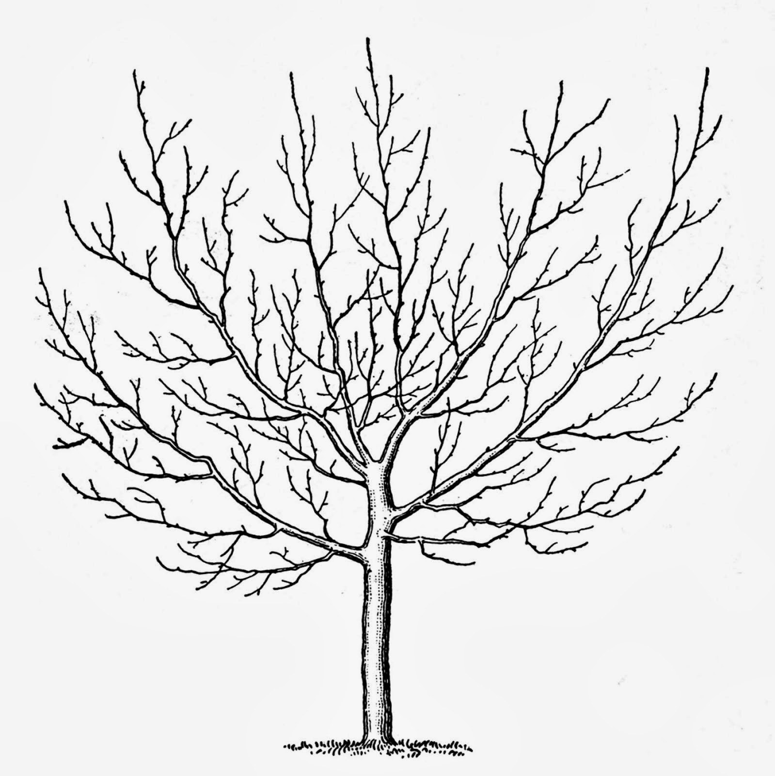 1599x1600 Kat'Slmost Purrfect World How To Make Simple Tree Become