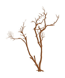 251x300 Scary Tree Royalty Free Stock Image