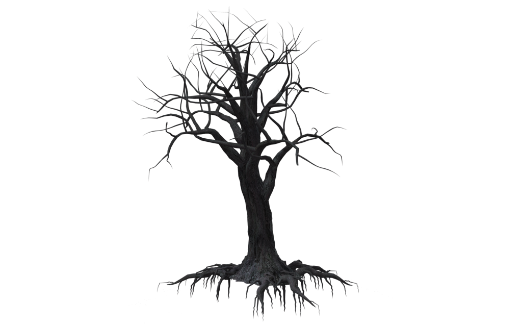 1024x639 Creepy Tree 02 By Wolverine041269