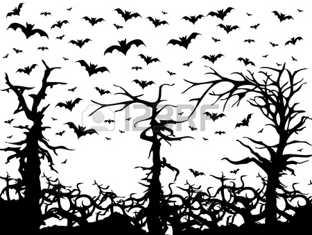 450x338 Black Trees And Bats Scary Background Isolated On White Stock