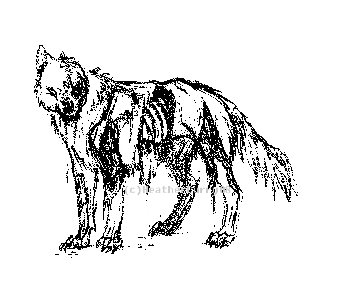 1100x972 Undead Wolf Werewolfs Werewolves