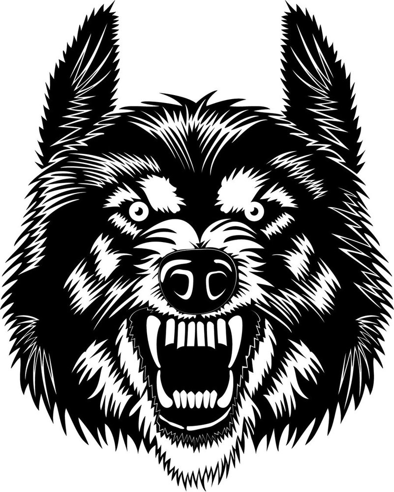 801x998 Wolf Head Vector By Vectorportal