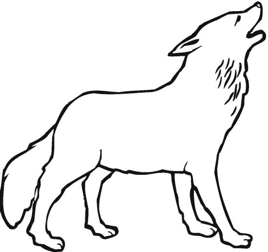 550x519 Wolves Coloring Pages