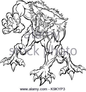Scary Wolf Drawing at GetDrawings | Free download