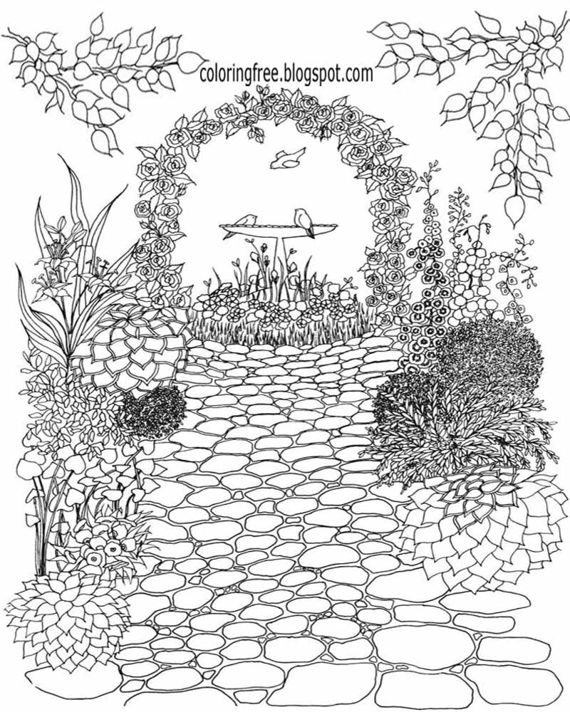 800x1000 Free Coloring Pages Printable Pictures To Color Kids Drawing Ideas