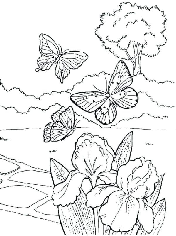 600x805 Great Spring Coloring Pages Best Of Scenery With Nature