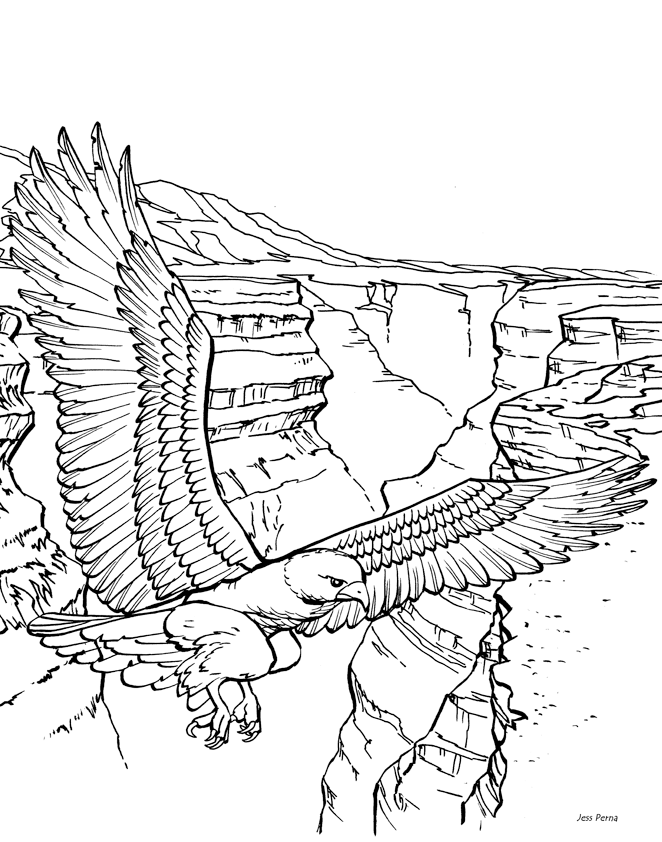 662x842 Coloring Pages For Adults Scenic Eagle Coloring Page