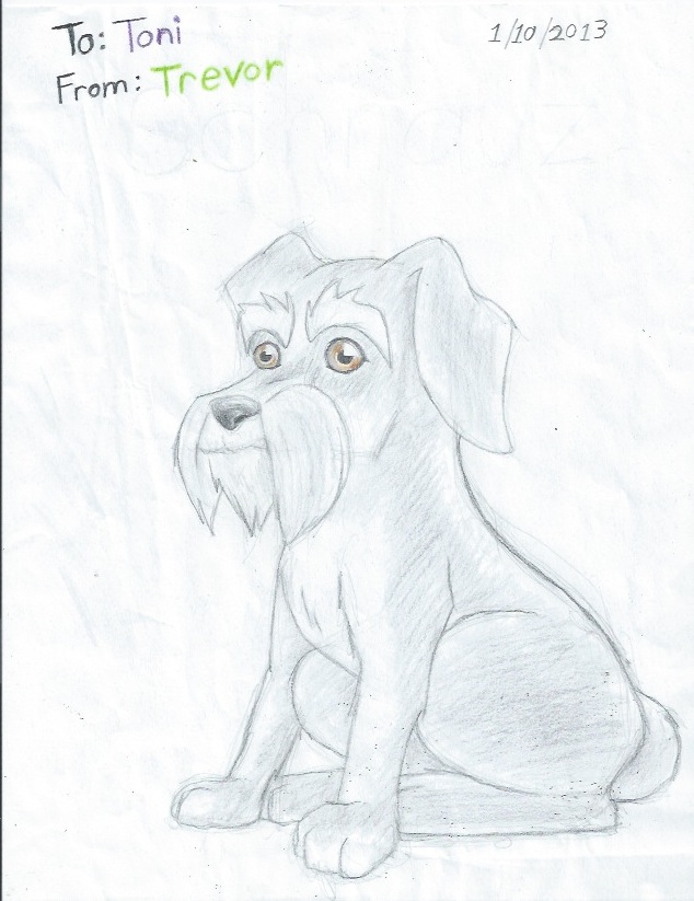 634x823 Schnauzer Drawing By Rovertarthead