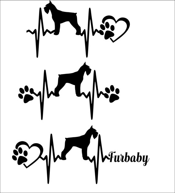 570x631 Schnauzer Svg File Dog Breed Svg Dog Svg File Dog Mom Svg