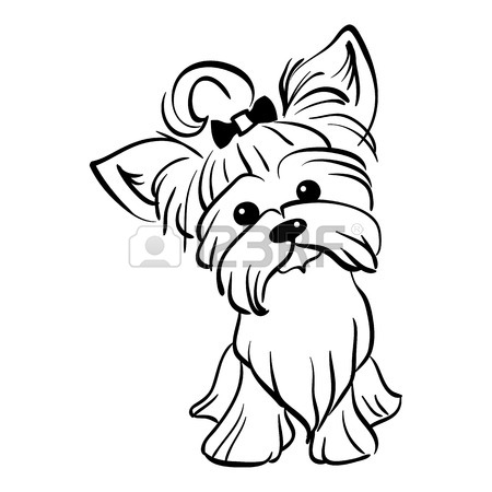 450x450 Sketch Funny Dog Miniature Schnauzer Breed Sitting Breed Hand