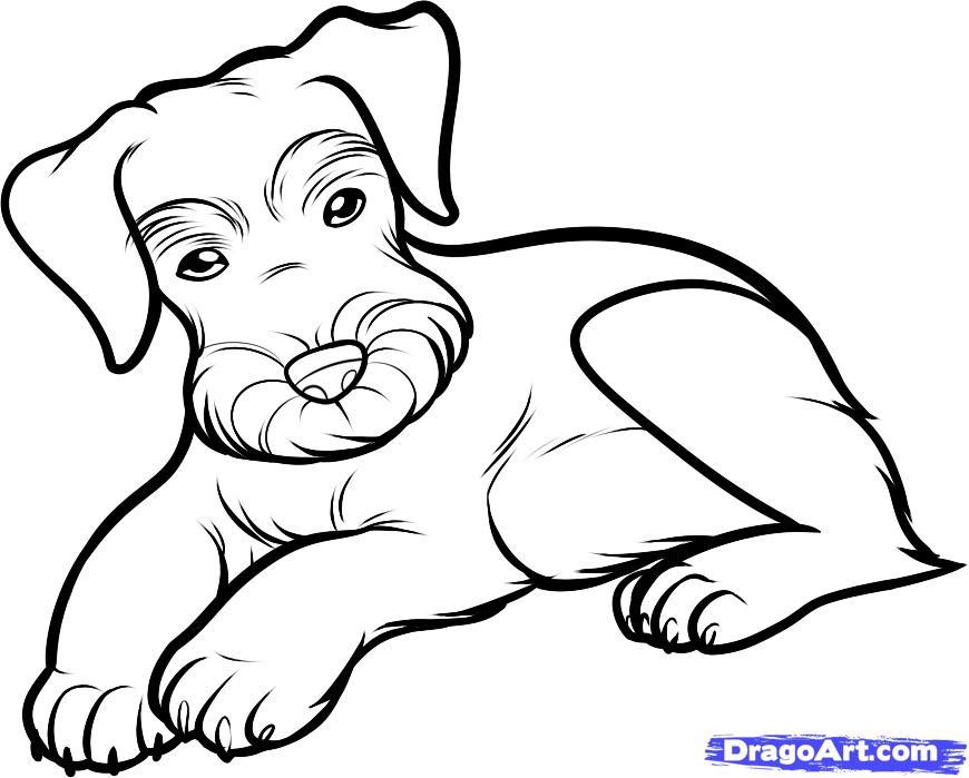 870x699 Schnauzer Coloring Pages Coloring Page For Kids