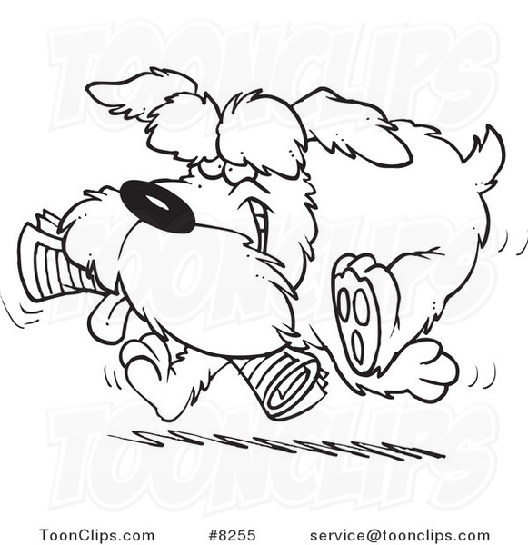 Schnauzer Line Drawing