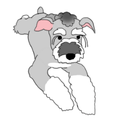 240x240 Jiji The Schnauzer Line Stickers Line Store