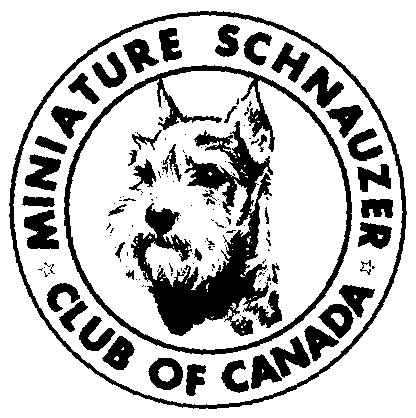 416x418 Kennel Of White Miniature Schnauzer And Salt Pepper Miniature