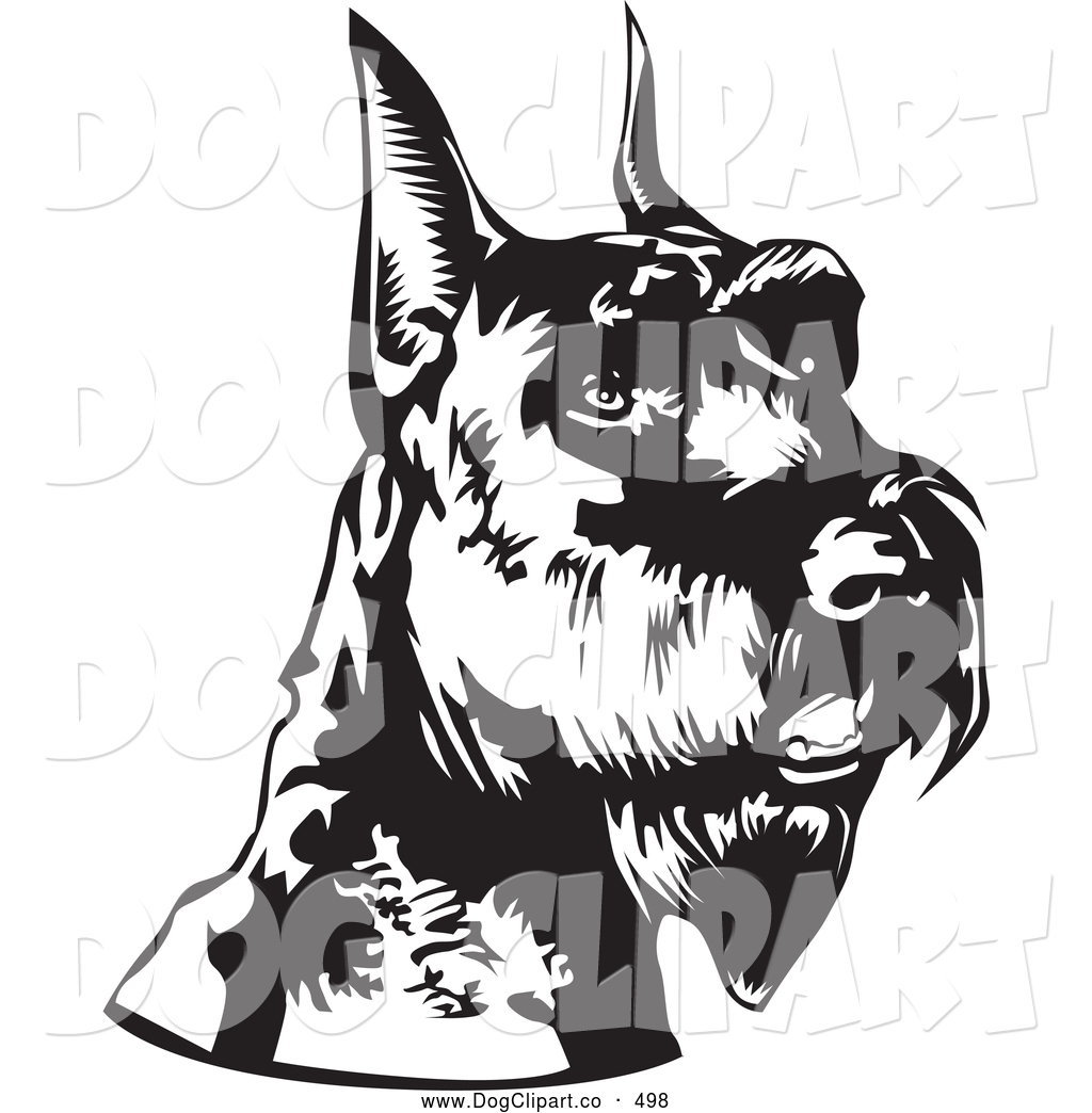 1024x1044 Schnauzer Clipart Black And White