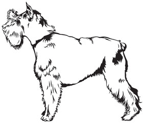 282x240 Search Photos Riesenschnauzer