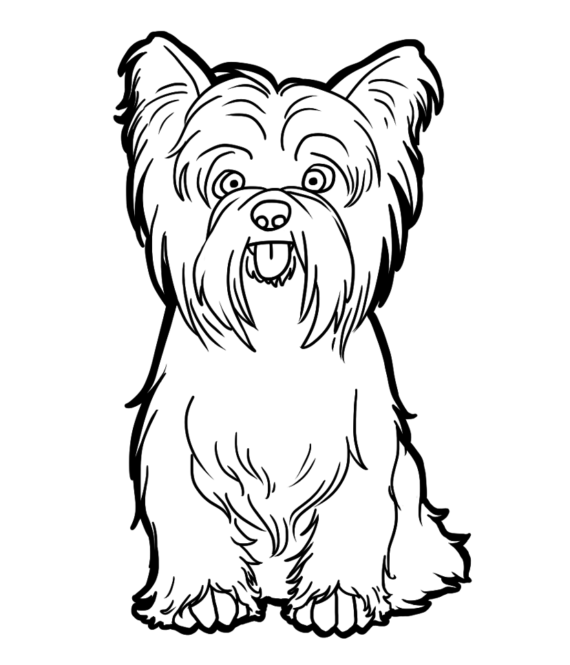 828x966 Yorkies Clipart Black And White
