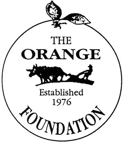 400x459 Orange Foundation 2015 Scholarships Amp Grants Orange Town News