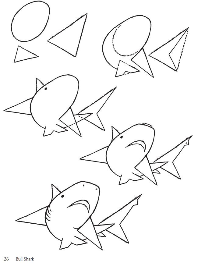 650x873 115 Best Zeeklassen Images On Drawing For Kids