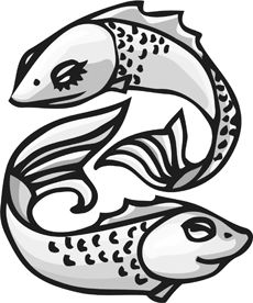 230x276 14 Best Koi Fish Drawings Images On Drawings Of Fish