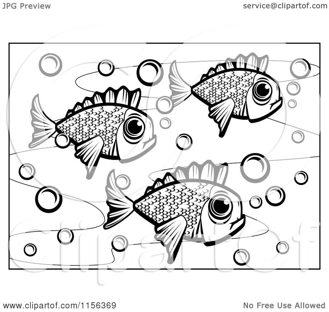 1080x1024 Top 84 School Of Fish Clip Art