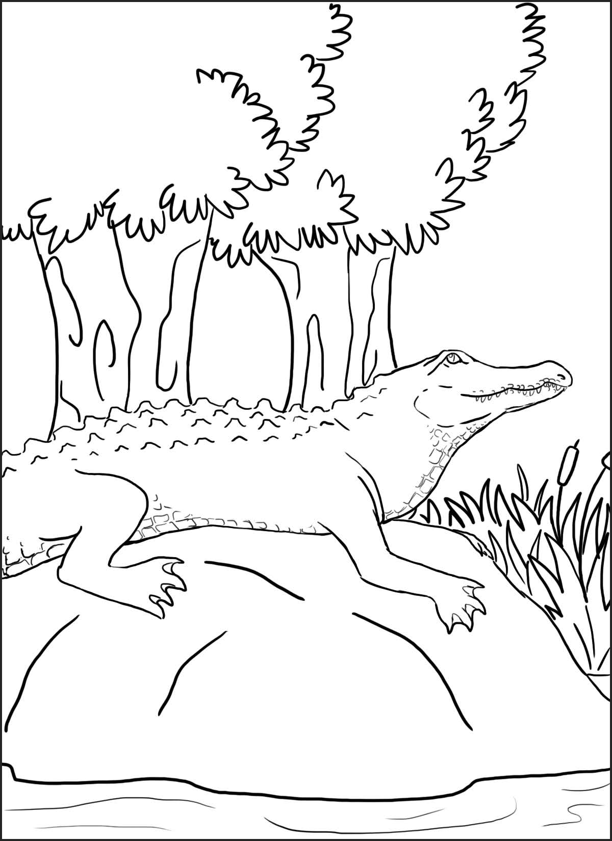 1200x1650 Simple Nature Sketch Hd Images. How To Draw Nature Drawing