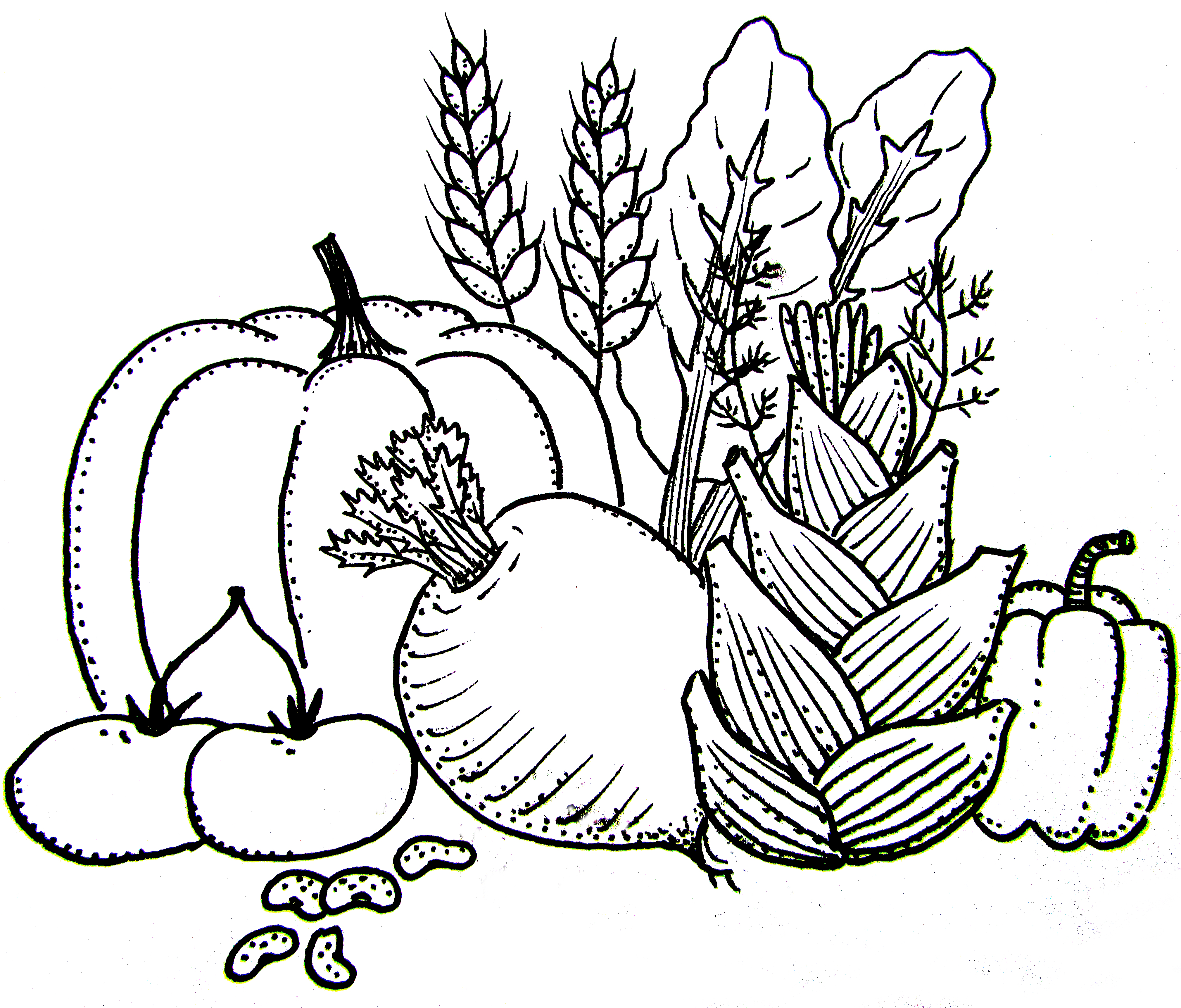 4040x3448 Spring Cooking Intensive Workshop Clear Creek Schoolhouse