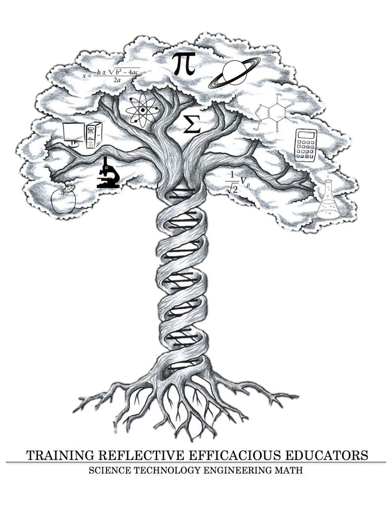 791x1024 Stemtree Stemtree